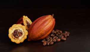 Kakao: Schote und Bohnen