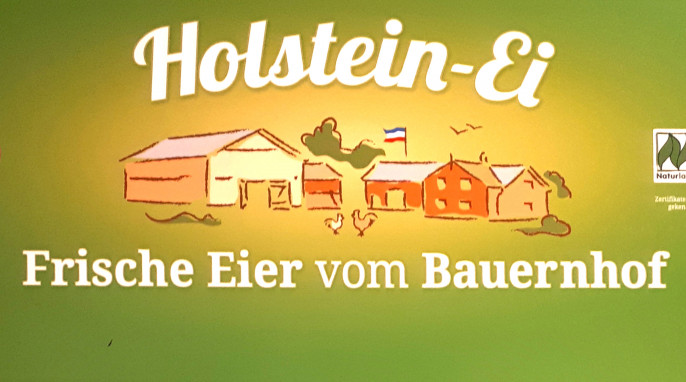 Aufstellerkopf, Holstein-Ei 
